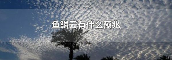 鱼鳞云有什么预兆
