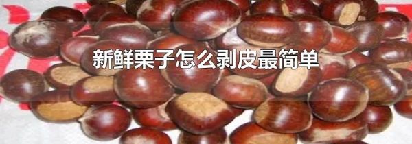 新鲜栗子怎么剥皮最简单