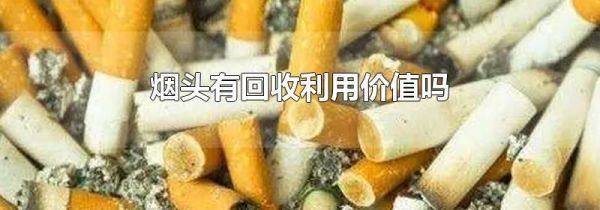 烟头有回收利用价值吗