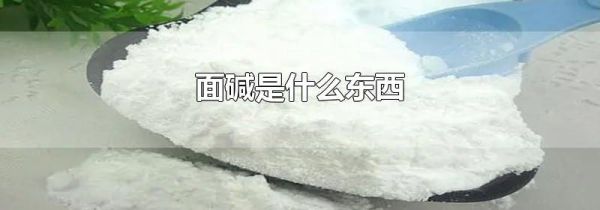 面碱是什么东西