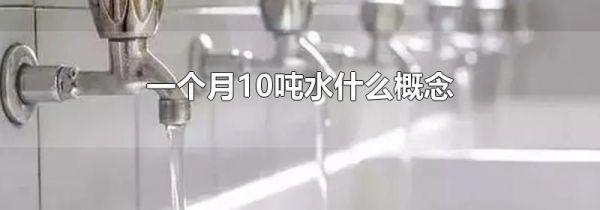 一个月10吨水什么概念