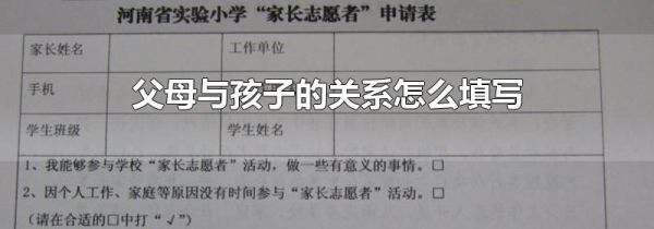 父母与孩子的关系怎么填写