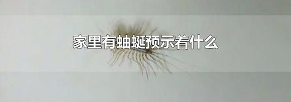 家里有蚰蜒预示着什么