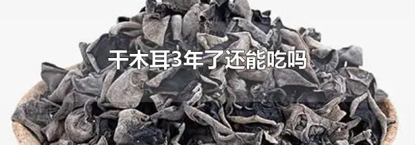 干木耳3年了还能吃吗