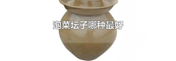 泡菜坛子哪种最好