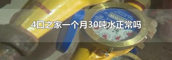 4口之家一个月30吨水正常吗