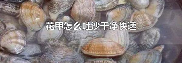 花甲怎么吐沙干净快速