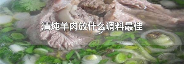 清炖羊肉放什么调料最佳