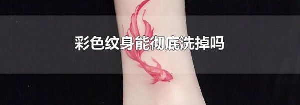 彩色纹身能彻底洗掉吗