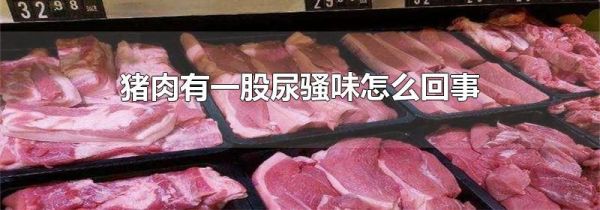 猪肉有一股尿骚味怎么回事