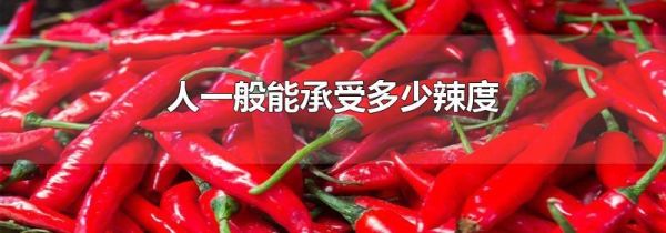 人一般能承受多少辣度