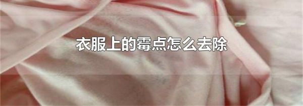 衣服上的霉点怎么去除