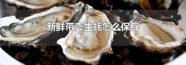 新鲜带壳生蚝怎么保存