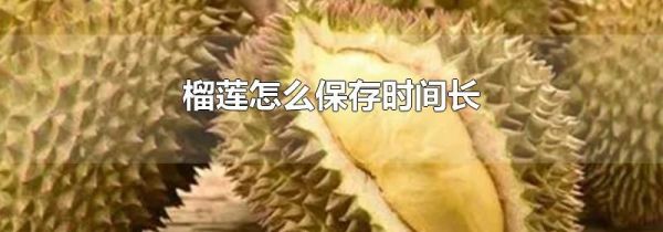 榴莲怎么保存时间长