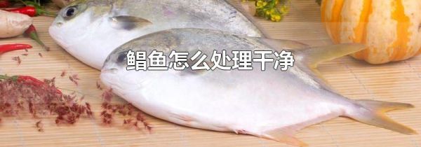 鲳鱼怎么处理干净