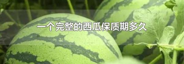 一个完整的西瓜保质期多久