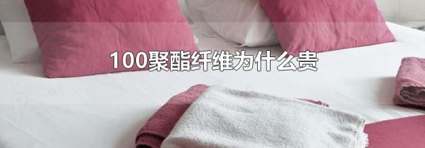 100聚酯纤维为什么贵