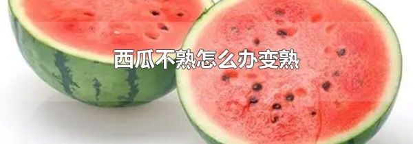 西瓜不熟怎么办变熟