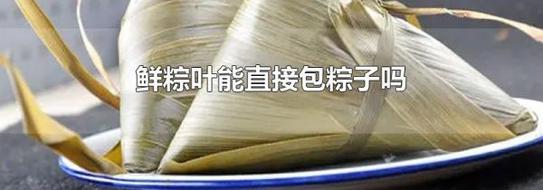 鲜粽叶能直接包粽子吗
