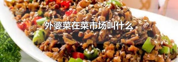 外婆菜在菜市场叫什么