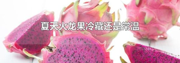 夏天火龙果冷藏还是常温