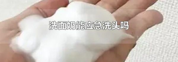 洗面奶能应急洗头吗