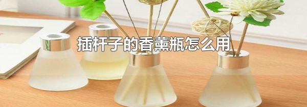 插杆子的香薰瓶怎么用