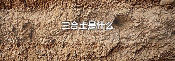三合土是什么
