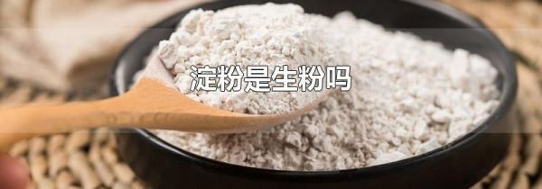 淀粉是生粉吗