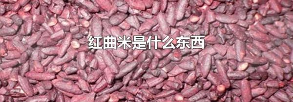红曲米是什么东西