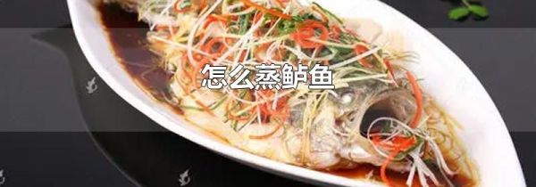 怎么蒸鲈鱼