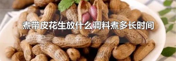 煮带皮花生放什么调料煮多长时间