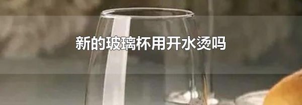 新的玻璃杯用开水烫吗