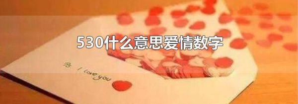 530什么意思爱情数字