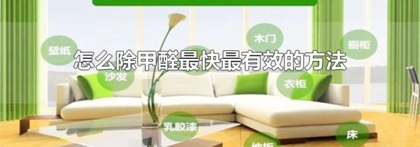 怎么除甲醛最快最有效的方法
