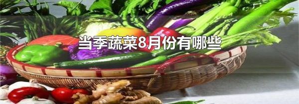 当季蔬菜8月份有哪些