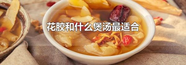 花胶和什么煲汤最适合