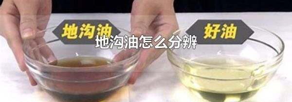 地沟油怎么分辨