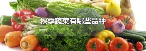 秋季蔬菜有哪些品种