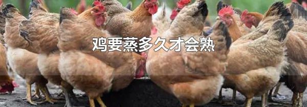 鸡要蒸多久才会熟