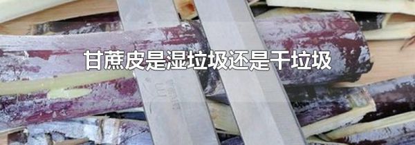 甘蔗皮是湿垃圾还是干垃圾