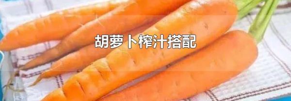 胡萝卜榨汁搭配