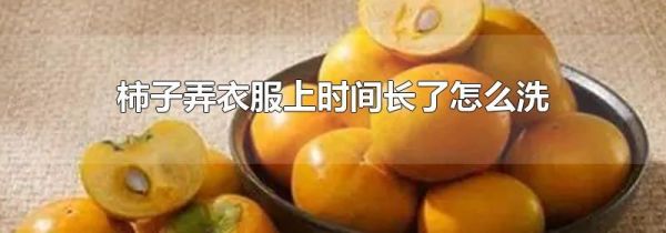柿子弄衣服上时间长了怎么洗