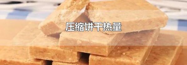 压缩饼干热量