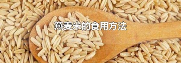 燕麦米的食用方法