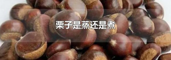 栗子是蒸还是煮