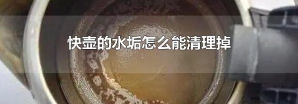 快壶的水垢怎么能清理掉