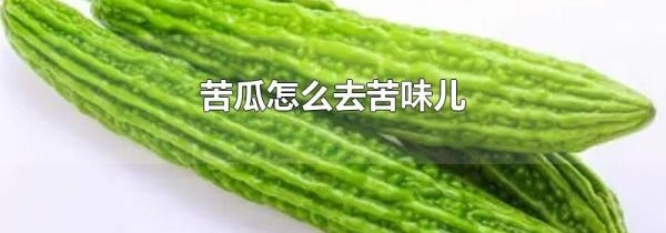 苦瓜怎么去苦味儿