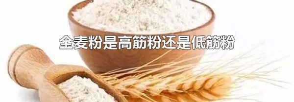 全麦粉是高筋粉还是低筋粉