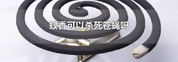 蚊香可以杀死苍蝇吗